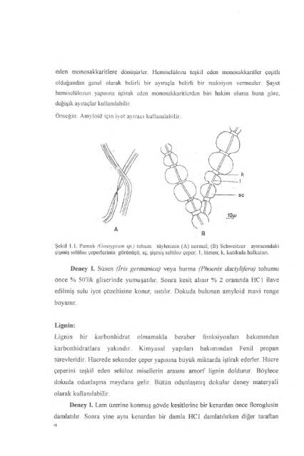 PDF Dosyası - Ankara Üniversitesi Kitaplar Veritabanı