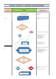 CAPITAL PROJECTS PROCESS FLOW DIAGRAM - Democracy