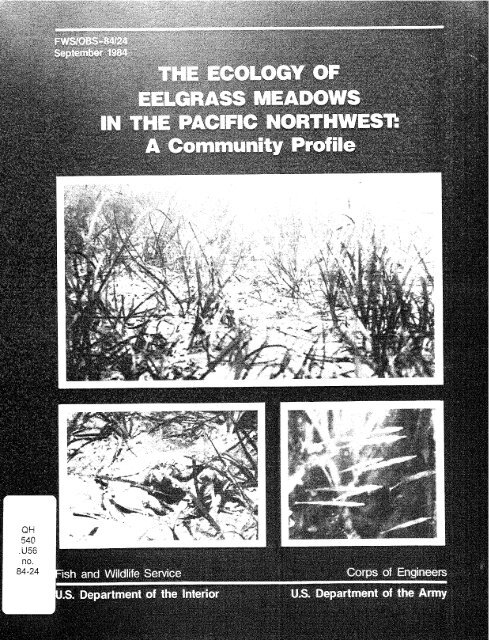 The ecology of eelgrass meadows in the Pacific Northwest: A ...