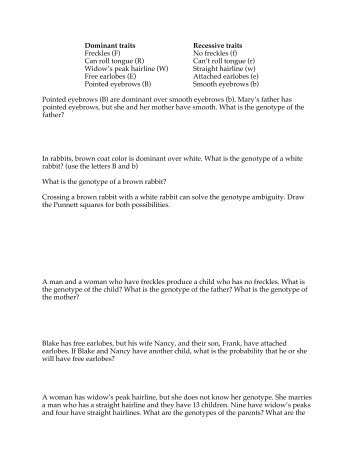 Genetics Practice Problems A Simple Er Worksheet Fulton County