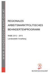 (RABE) 2012-2013 Vorarlberg - Bundessozialamt