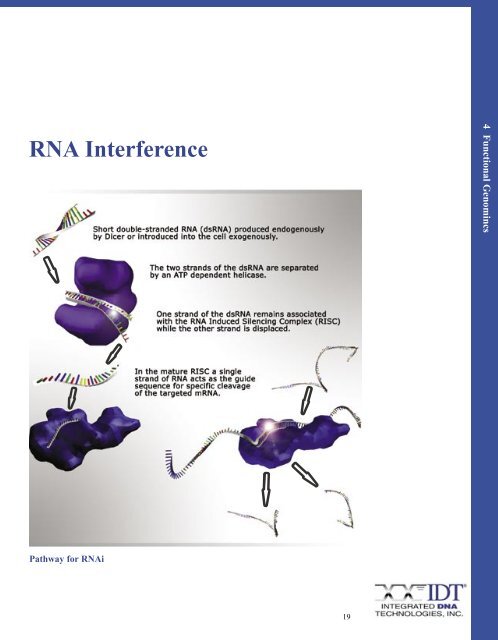 Fluorophores - Integrated DNA Technologies