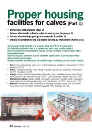 Proper housing facilities for calves (Part 1) - Ubisi Mail Magazine