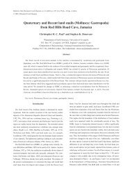 Quaternary and Recent land snails (Mollusca: Gastropoda) from ...