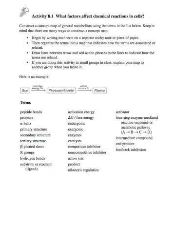 Activity 8.1 What factors affect chemical reactions in cells?