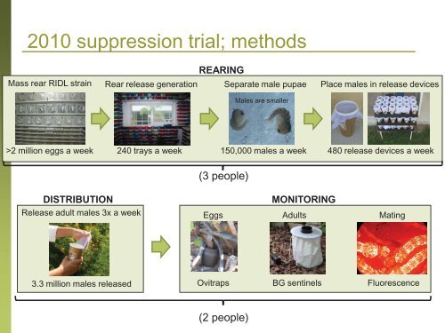 RIDL; What Is It? How Does It Work? Does It Work? And What's In ...