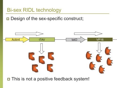 RIDL; What Is It? How Does It Work? Does It Work? And What's In ...