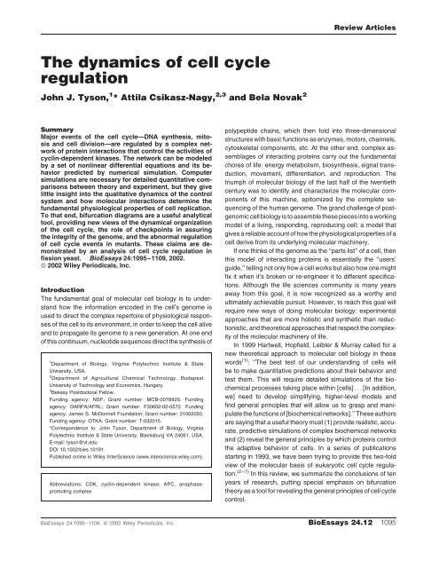 The dynamics of cell cycle regulation - ResearchGate
