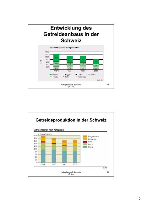 Kulturpflanzen Getreide