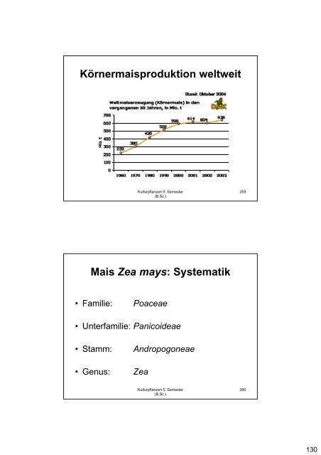 Kulturpflanzen Getreide