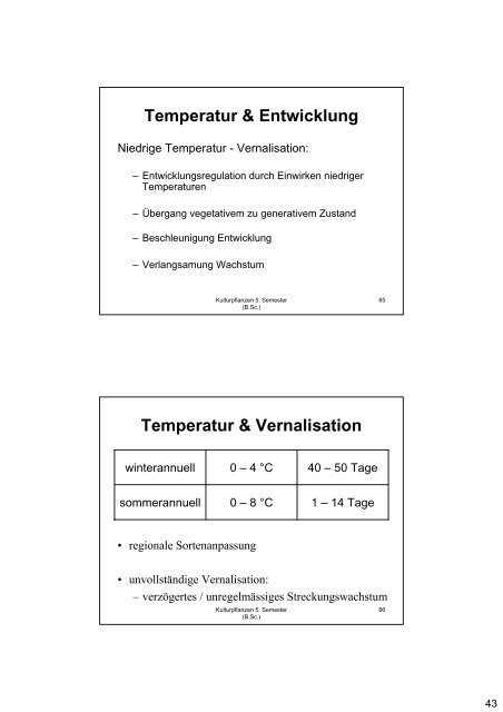 Kulturpflanzen Getreide