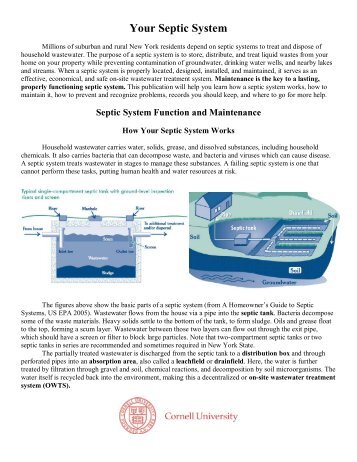 Your Septic System - New York State Water Resources Institute