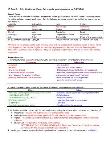 comparing and contrasting ap essay comparing and contrasting ap essay