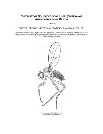checklist of dolichopodidae s.str. (diptera) of america north of mexico