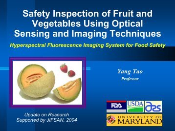 Safety Inspection of Fruit and Vegetables Using Optical ... - jifsan