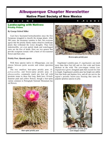 ABQ_newsletter_2qtr1.. - Native Plant Society of New Mexico