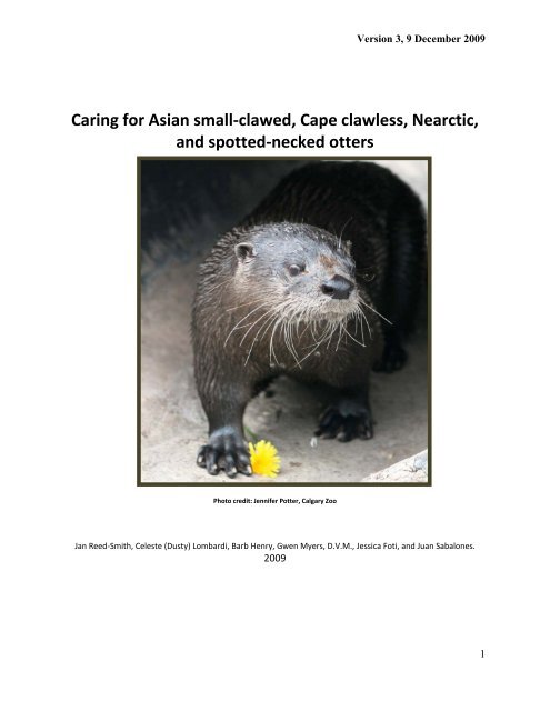 Caring for Selected Otter Species (Asian small-clawed, Cape