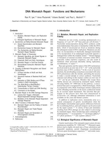 DNA Mismatch Repair: Functions and Mechanisms