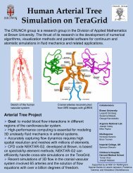 Human Arterial Tree Simulation on TeraGrid - Center for Fluid ...