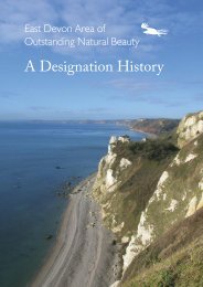 A Designation History - East Devon Area of Outstanding Natural ...