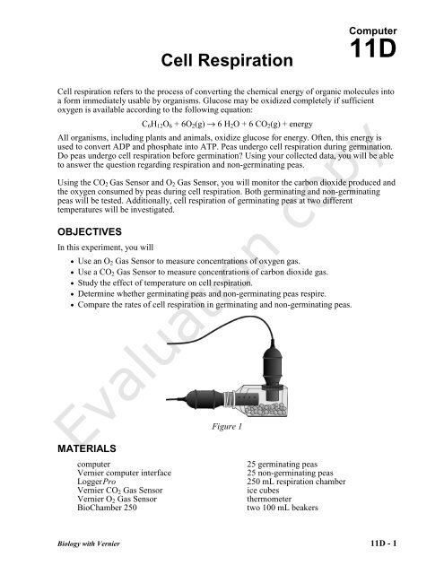Computer 11d cell respiration - Vernier Software & Technology