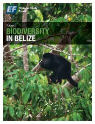 BIODIVERSITY IN BELIZE - EF College Study Tours