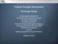 Federal Triangle Stormwater Drainage Study - National Capital ...