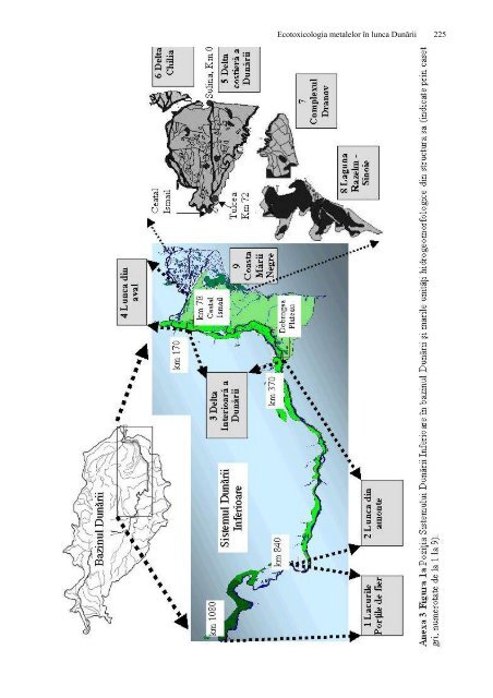 Ecotoxicologia metalelor grele in lunca Dunarii - CESEC