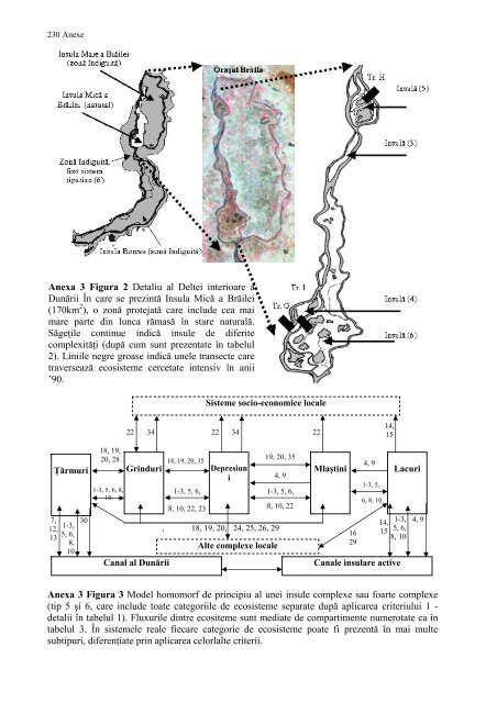 Ecotoxicologia metalelor grele in lunca Dunarii - CESEC