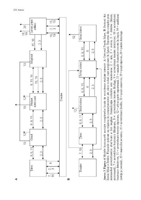 Ecotoxicologia metalelor grele in lunca Dunarii - CESEC