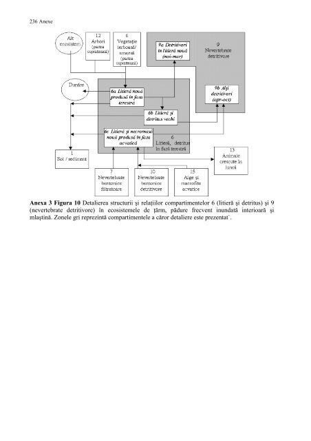 Ecotoxicologia metalelor grele in lunca Dunarii - CESEC