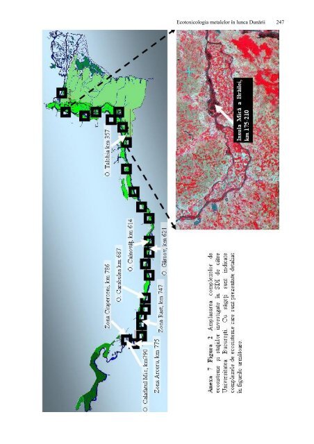 Ecotoxicologia metalelor grele in lunca Dunarii - CESEC