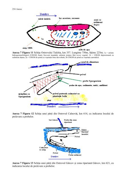 Ecotoxicologia metalelor grele in lunca Dunarii - CESEC