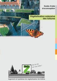 Végétalisation extensive des toitures - ZinCo