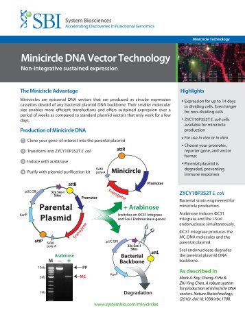 Minicircle DNA Vector Technology - System Biosciences