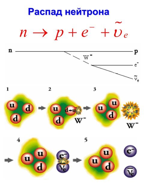 реакция распада протона. распад нейтрона. процесс распада нейтрона. уравнение распада нейтрона. реакция распада нейтрона.