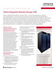 Hitachi Adaptable Modular Storage 2500 - Merlion