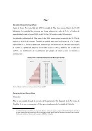 Descargue el informe completo de localización. - Ieral Pyme