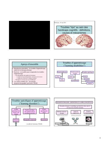 1 Troubles "dys" au sein des handicaps cognitifs ... - Resodys