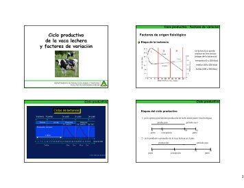 Ciclo productivo de la vaca lechera y factores de variaciÃ³n