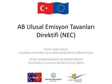 AB Ulusal Emisyon TavanlarÄ± Direktifi (NEC)