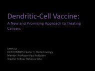 Dendritic Cell Vaccine - COSMOS