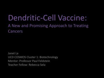Dendritic Cell Vaccine - COSMOS