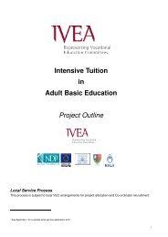 ITABE Guidelines 2008 - IVEA