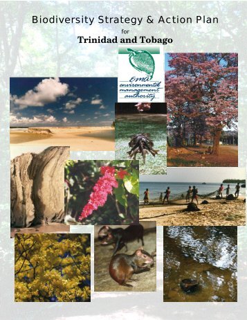 English version (PDF) - Convention on Biological Diversity