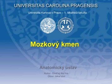 Tr. cortico - nuclearis - AnatomickÃ½ Ãºstav 1.LF UK - Univerzita Karlova