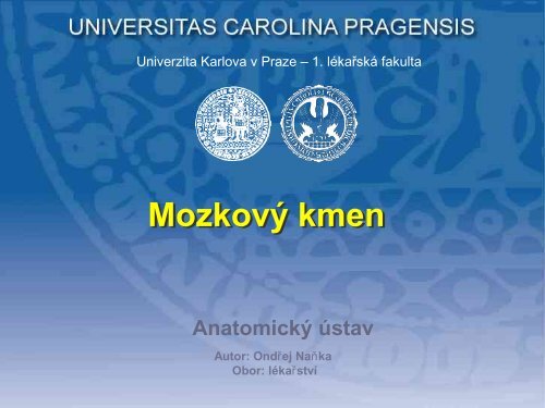 Tr. cortico - nuclearis - AnatomickÃ½ Ãºstav 1.LF UK - Univerzita Karlova