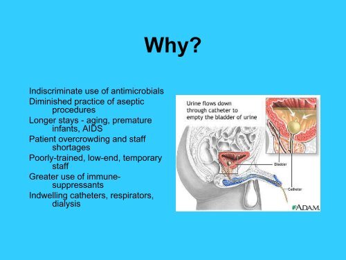 Microbial control