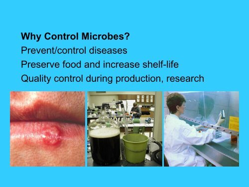 Microbial control