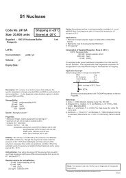 S1 Nuclease